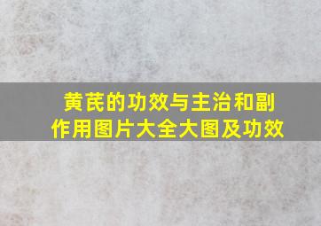 黄芪的功效与主治和副作用图片大全大图及功效