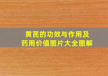 黄芪的功效与作用及药用价值图片大全图解