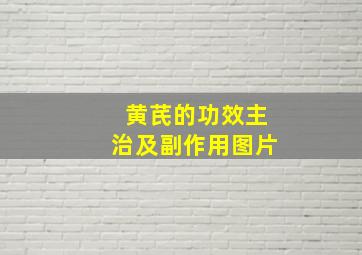 黄芪的功效主治及副作用图片