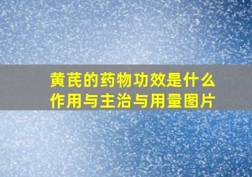 黄芪的药物功效是什么作用与主治与用量图片