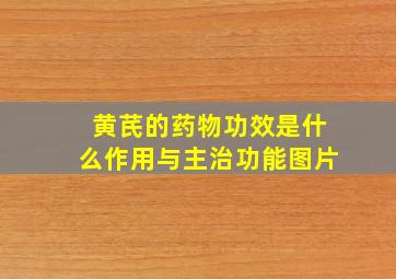 黄芪的药物功效是什么作用与主治功能图片