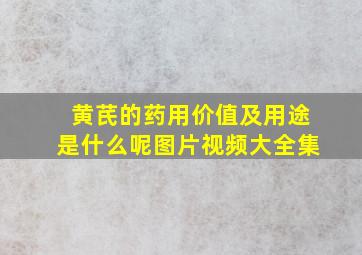 黄芪的药用价值及用途是什么呢图片视频大全集