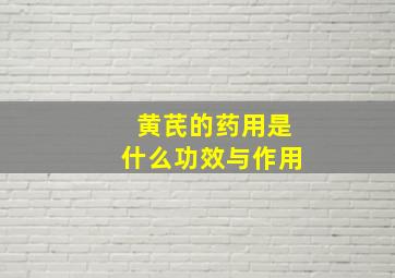 黄芪的药用是什么功效与作用