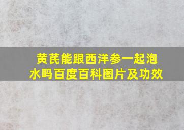 黄芪能跟西洋参一起泡水吗百度百科图片及功效