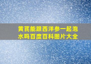 黄芪能跟西洋参一起泡水吗百度百科图片大全