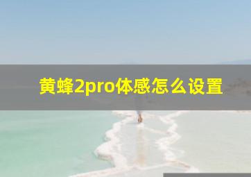 黄蜂2pro体感怎么设置