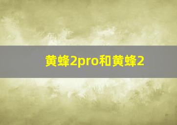 黄蜂2pro和黄蜂2