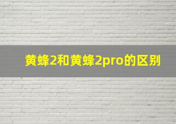 黄蜂2和黄蜂2pro的区别