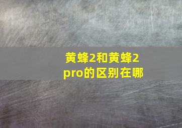 黄蜂2和黄蜂2pro的区别在哪