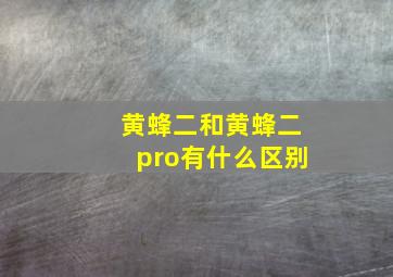 黄蜂二和黄蜂二pro有什么区别