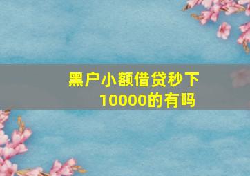 黑户小额借贷秒下10000的有吗