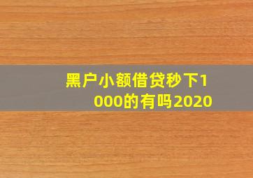 黑户小额借贷秒下1000的有吗2020