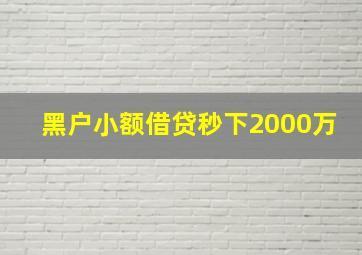 黑户小额借贷秒下2000万