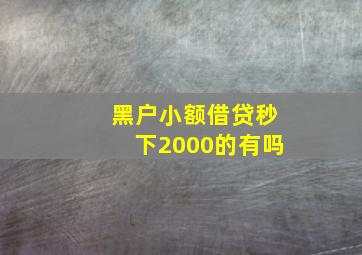 黑户小额借贷秒下2000的有吗