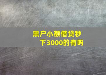 黑户小额借贷秒下3000的有吗