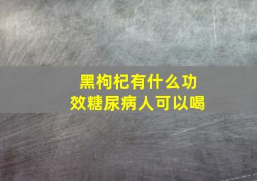 黑枸杞有什么功效糖尿病人可以喝