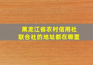 黑龙江省农村信用社联合社的地址都在哪里